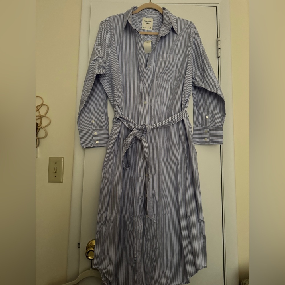 Abercrombie & Fitch Blue Striped Shirt Dress - Picture 2 of 3
